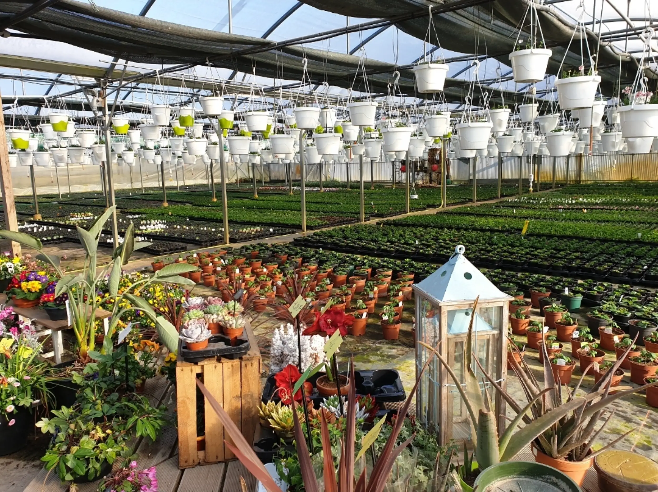 Les fleurs des Salines, fleuriste à Marck (62)